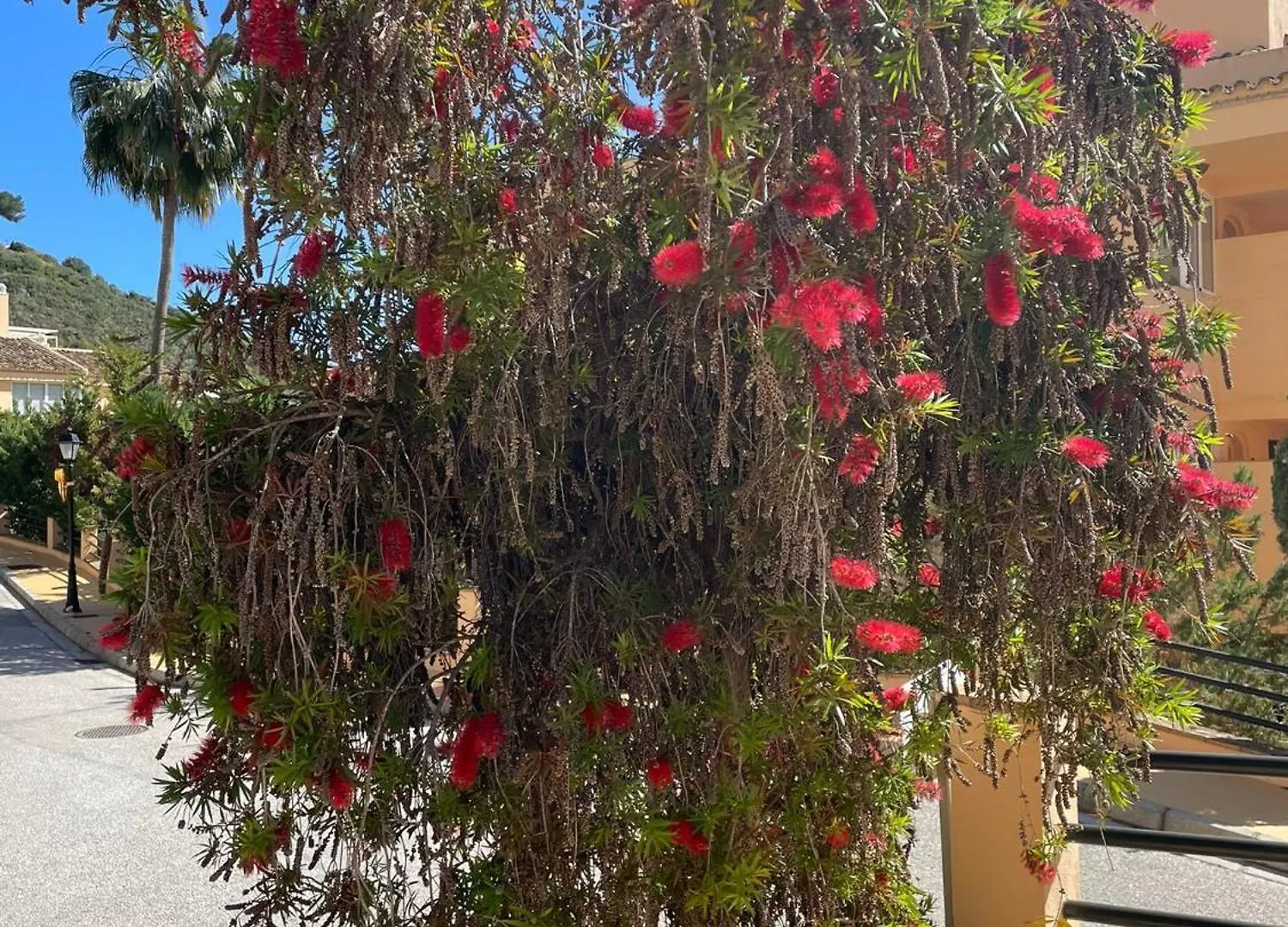 Santa Maria Village, Elviria, Marbella Spain